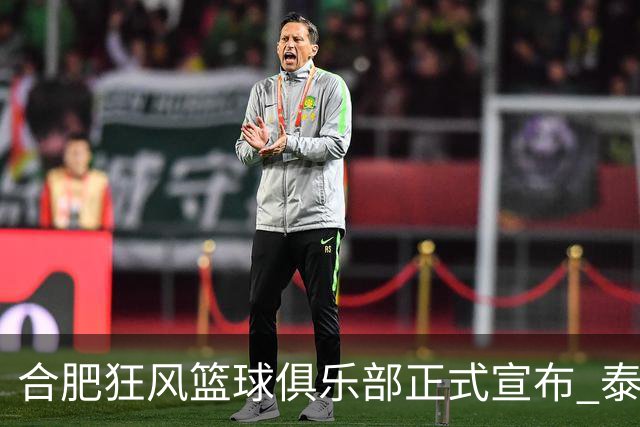 合肥狂风篮球俱乐部正式宣布 泰冯·迈尔斯加盟球队